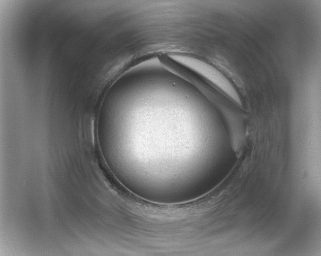 X0000065970014200603031140