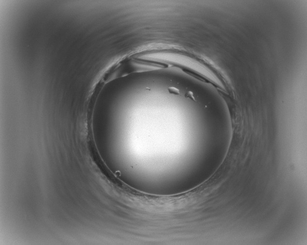 X0000065970015200603031140