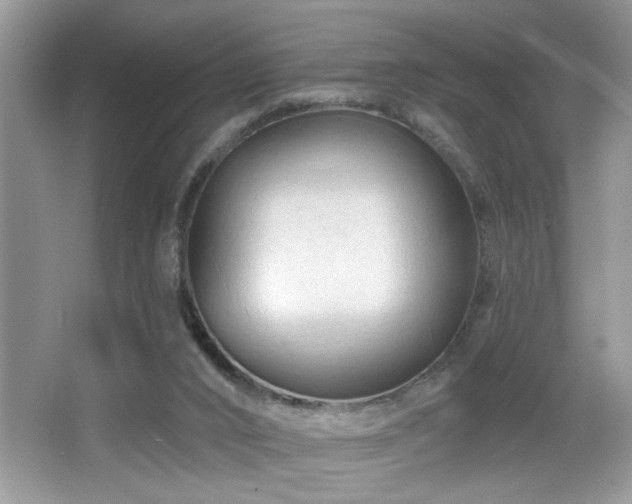 X0000065970016200603031140