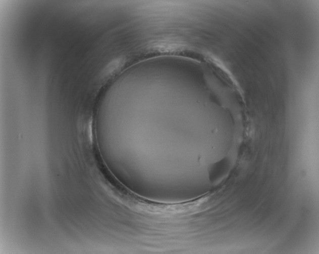 X0000065970019200603031140