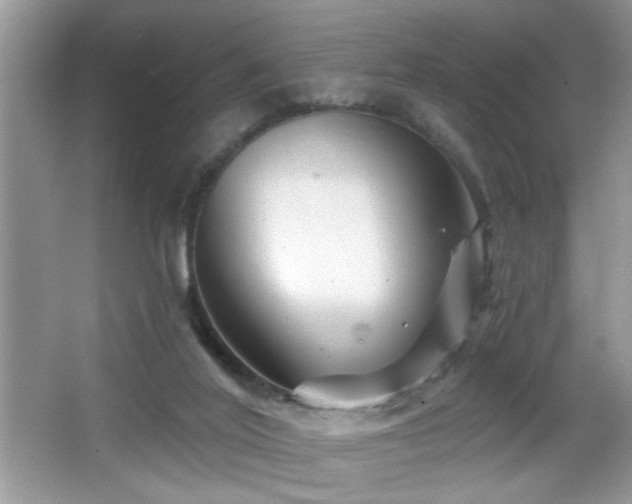 X0000065970020200603031140