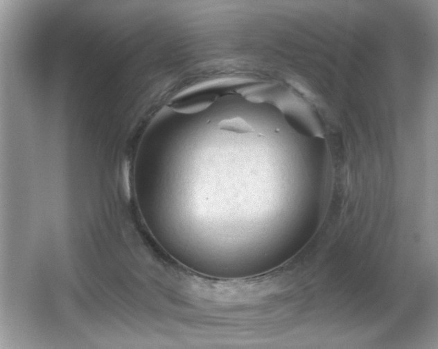 X0000065970022200603031140