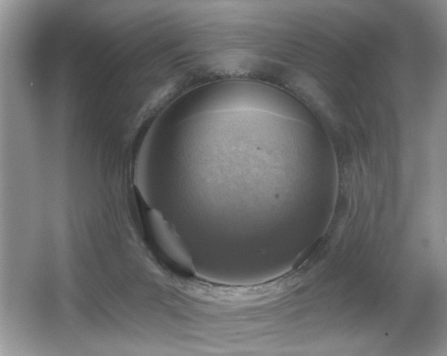 X0000065970023200603031140