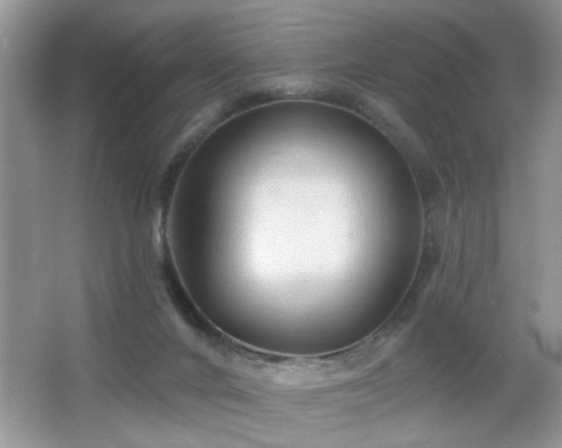 X0000065970024200603031140