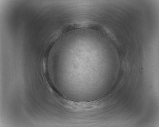 X0000065970026200603031140