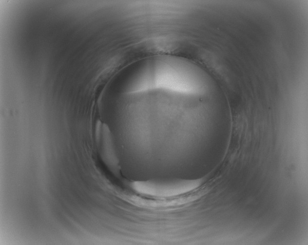 X0000065970027200603031140