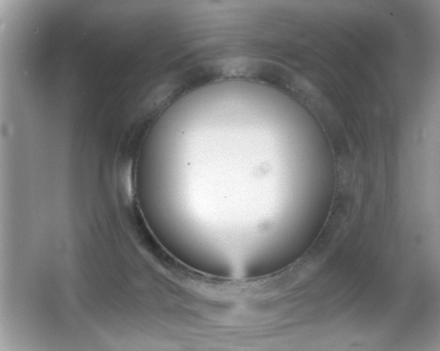 X0000065970028200603031140