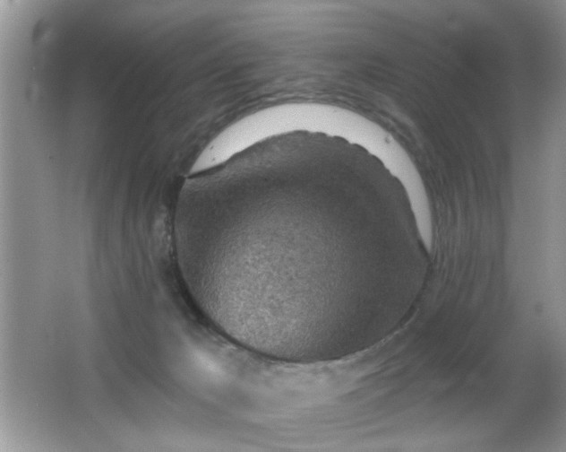 X0000065970029200603031140