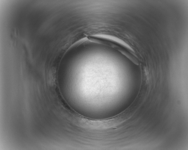 X0000065970030200603031140