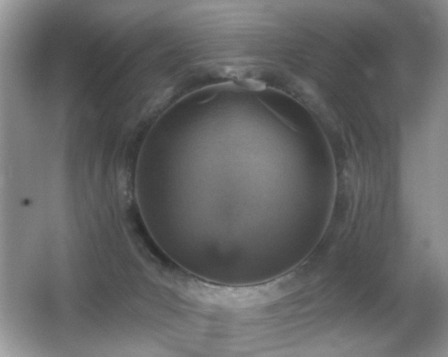 X0000065970031200603031140