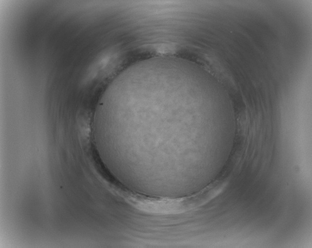 X0000065970032200603031140