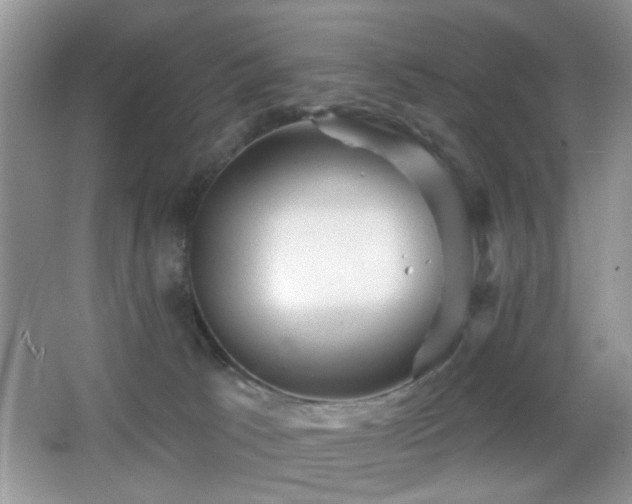 X0000065970033200603031140