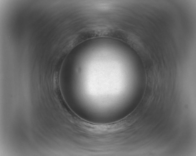 X0000065970034200603031140