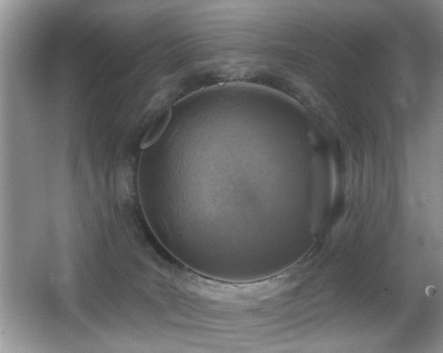 X0000065970035200603031140