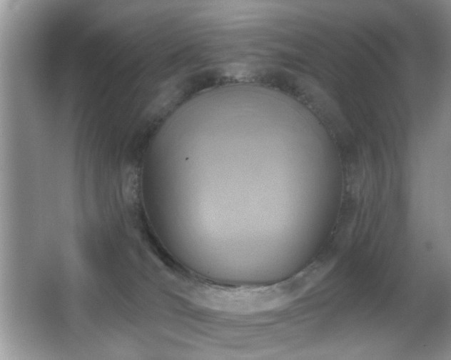 X0000065970036200603031140