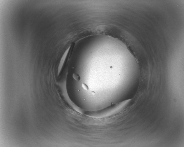 X0000065970037200603031140