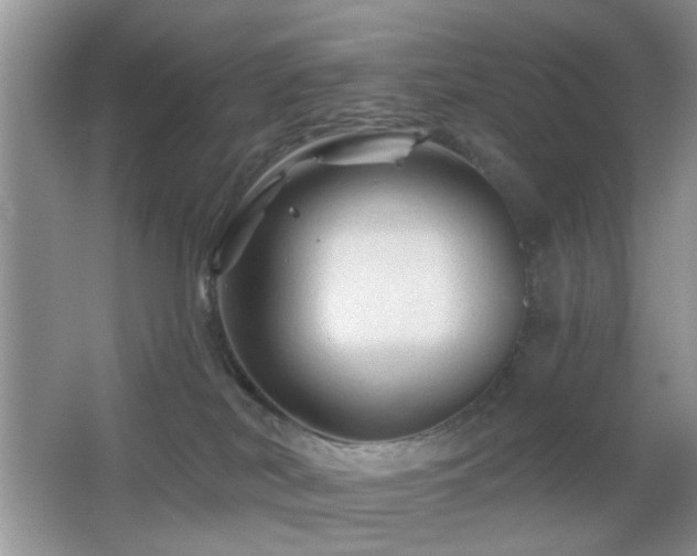 X0000065970038200603031140