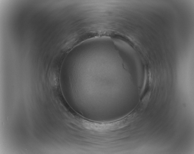 X0000065970039200603031140