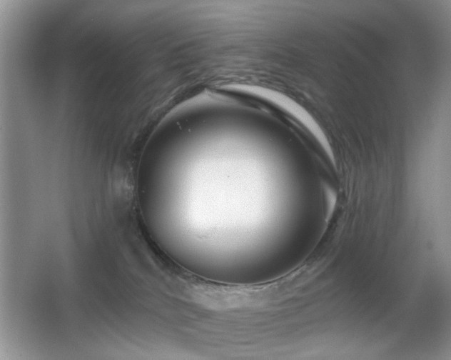 X0000065970040200603031140