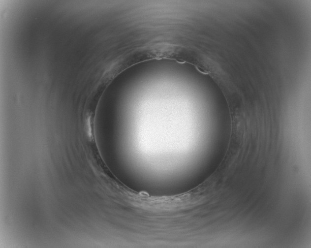 X0000065970042200603031140