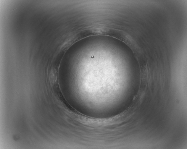 X0000065970043200603031140