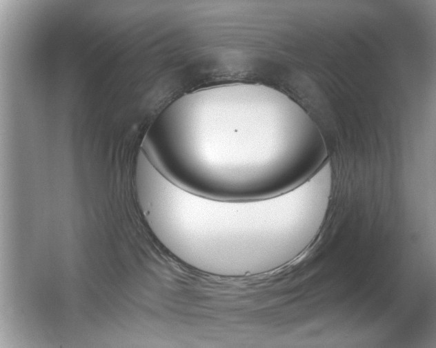 X0000065970045200603031140