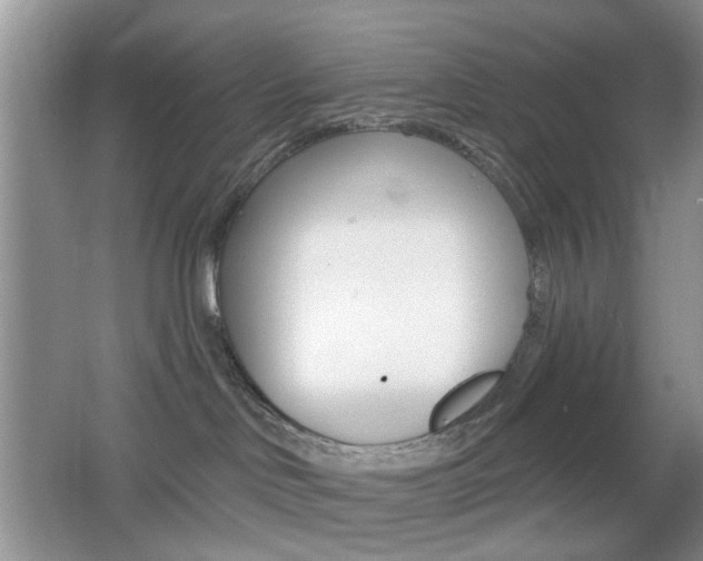 X0000065970046200603031140