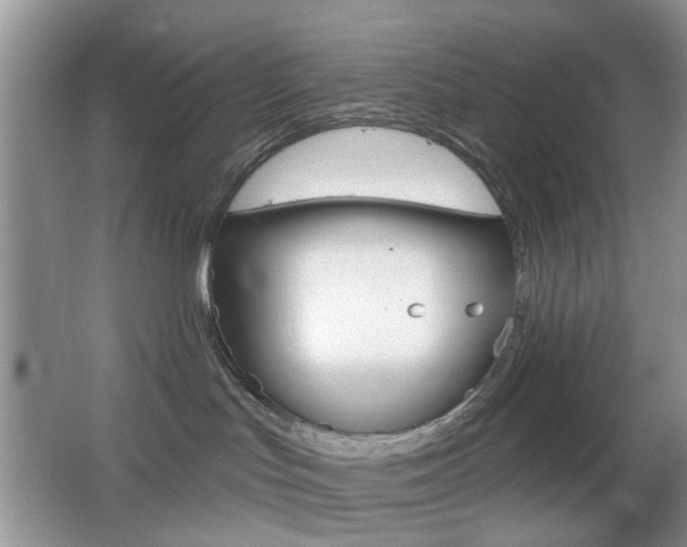 X0000065970047200603031140