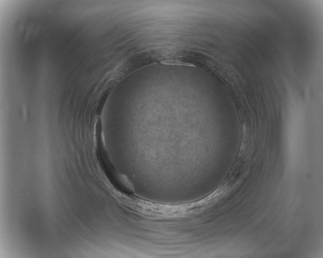 X0000065970048200603031140