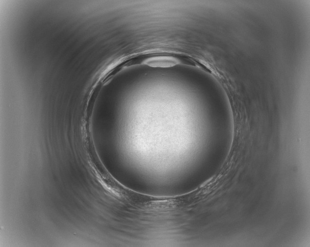 X0000065970050200603031139