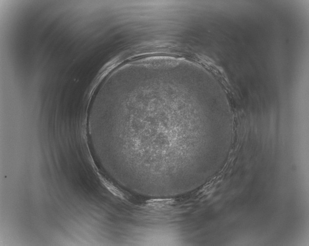 X0000065970051200603031139