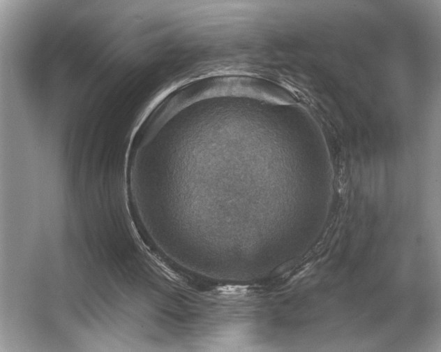 X0000065970052200603031139