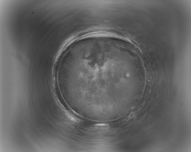 X0000065970053200603031139