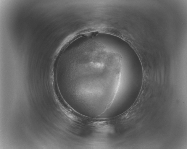 X0000065970054200603031139