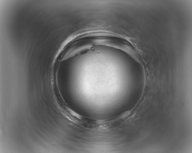 X0000065970056200603031139