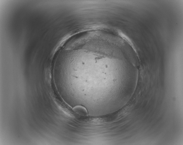 X0000065970059200603031139