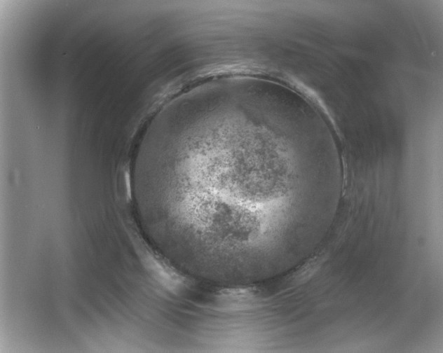 X0000065970061200603031139