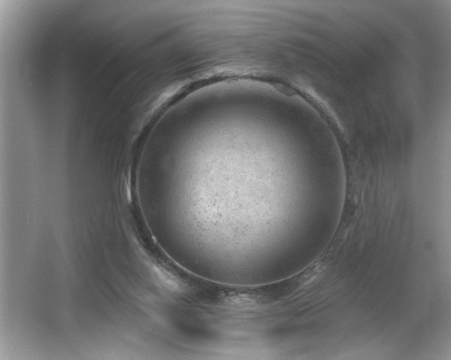 X0000065970062200603031139