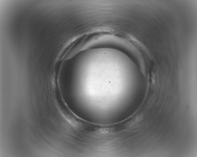 X0000065970064200603031139