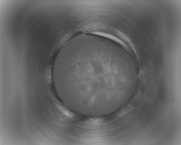 X0000065970065200603031139