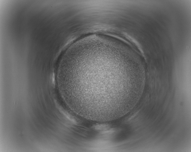 X0000065970067200603031139