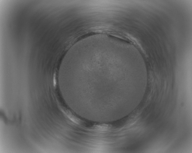 X0000065970069200603031139