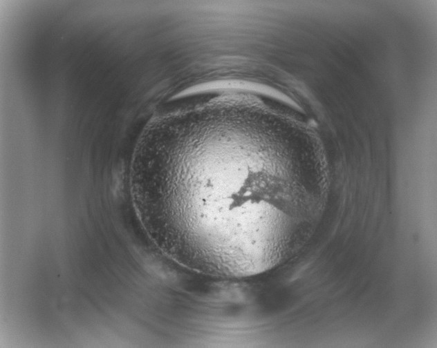 X0000065970073200603031139