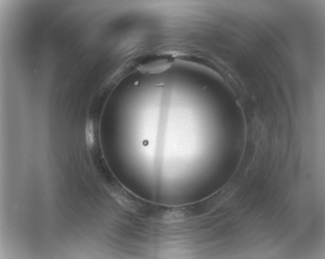 X0000065970075200603031139