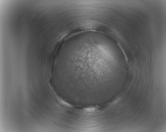 X0000065970076200603031139