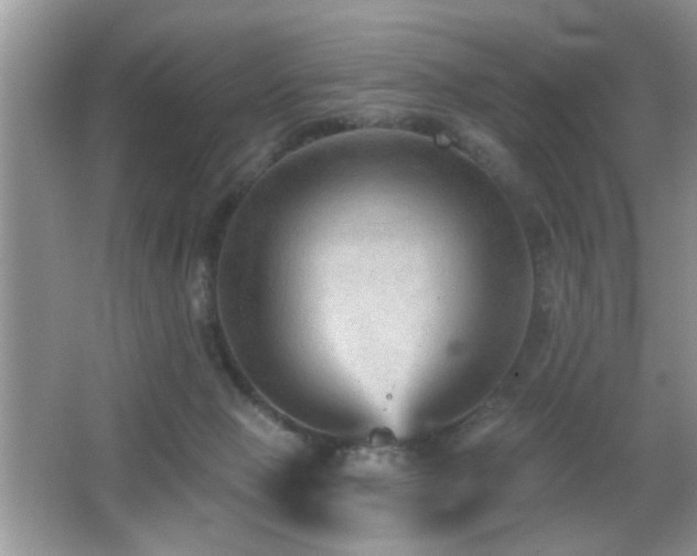 X0000065970077200603031139