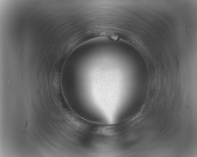 X0000065970078200603031139