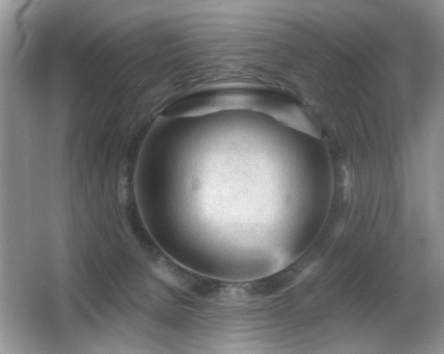 X0000065970080200603031139