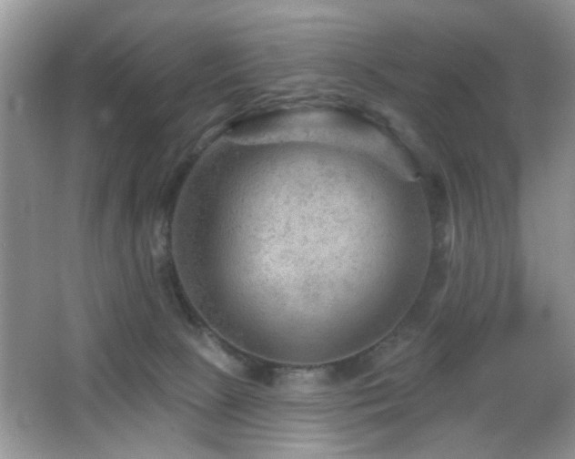 X0000065970081200603031139