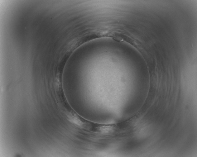 X0000065970085200603031140